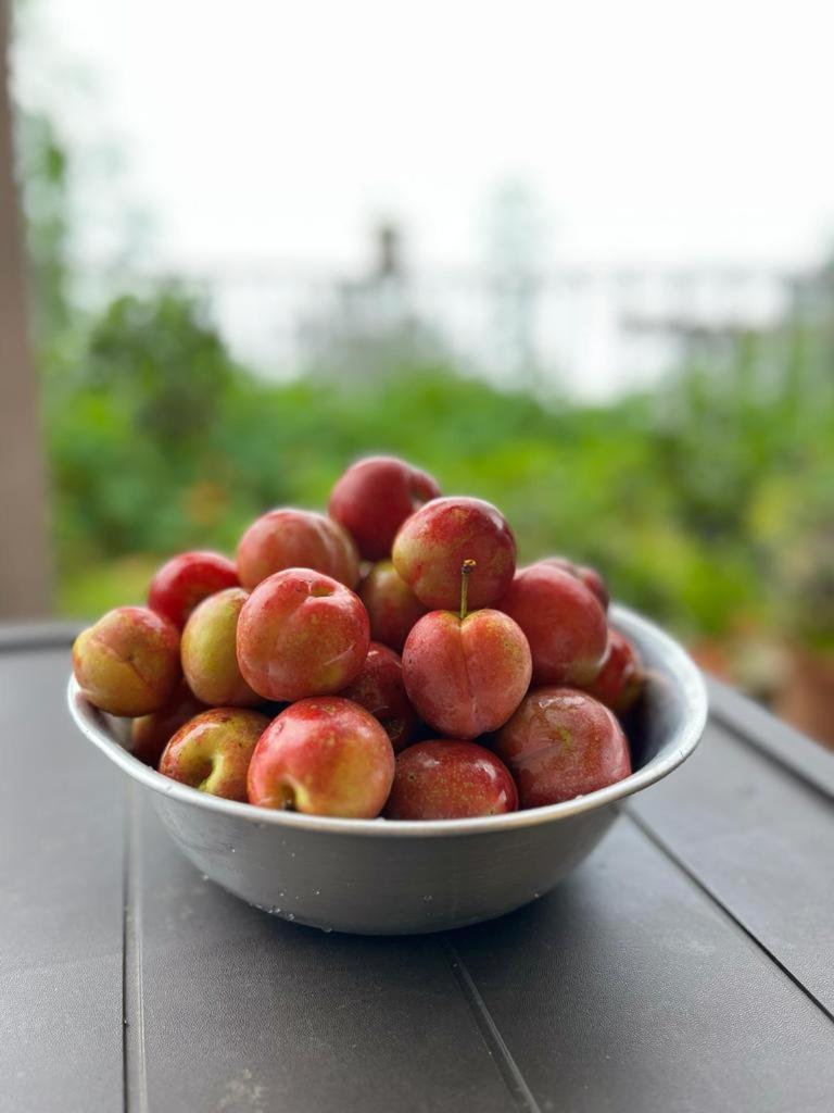 Darjeeling Bnb Eksteriør billede